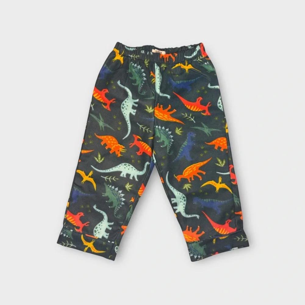 Wildkin Jurassic Dinosaur Green Pajama Set